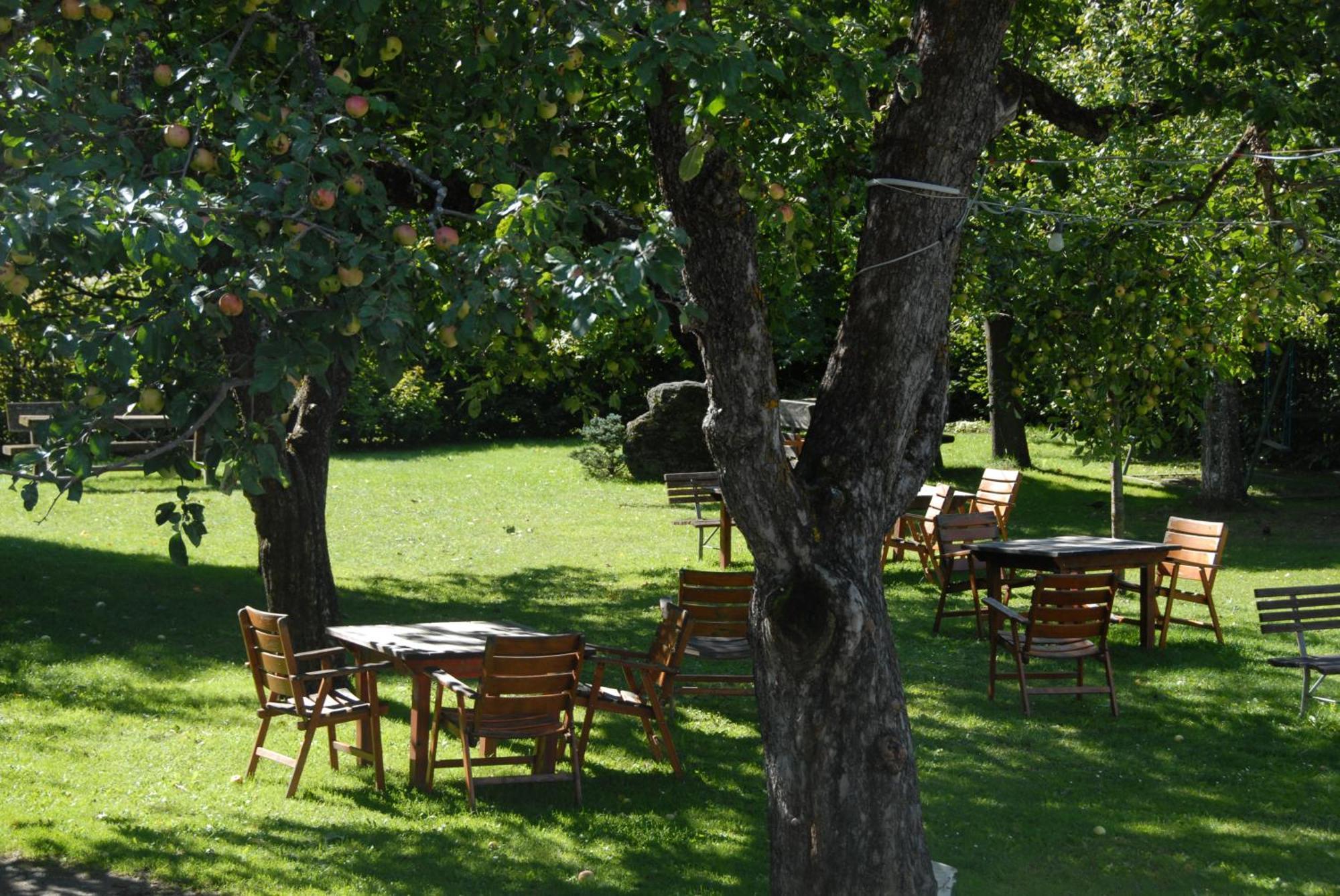 Residence Mitterdorfer Abfaltersbach Екстер'єр фото